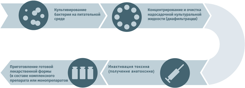 Схема получения экзотоксинов и анатоксинов